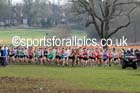 Start of the of the senior mens Inter Counties Cross Country, Cofton Park, Birmingham. Photo: David T. Hewitson/Sports for All Pics